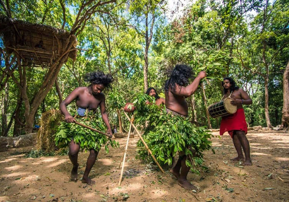 Indigenous Vedda Tribal Village Dambana Sri Lanka Cultural Experience